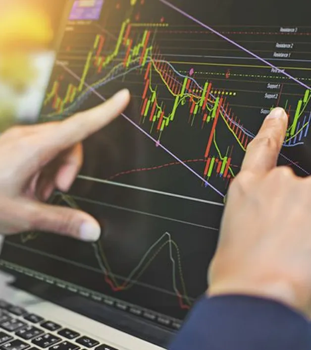 ItalbitNex - What is the Role of ItalbitNex?